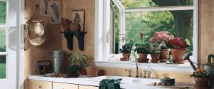 garden window with flowers on the shelf in a kitchen
